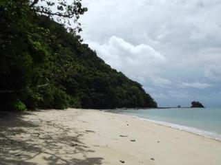 Fiji Palms Phuket
